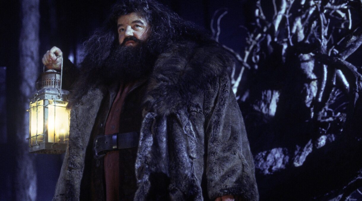 Hagrid, We Still Love You, But Let's Face It: You Were Kind Of A Liability