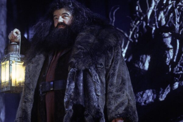 Hagrid, We Still Love You, But Let’s Face It: You Were Kind Of A Liability