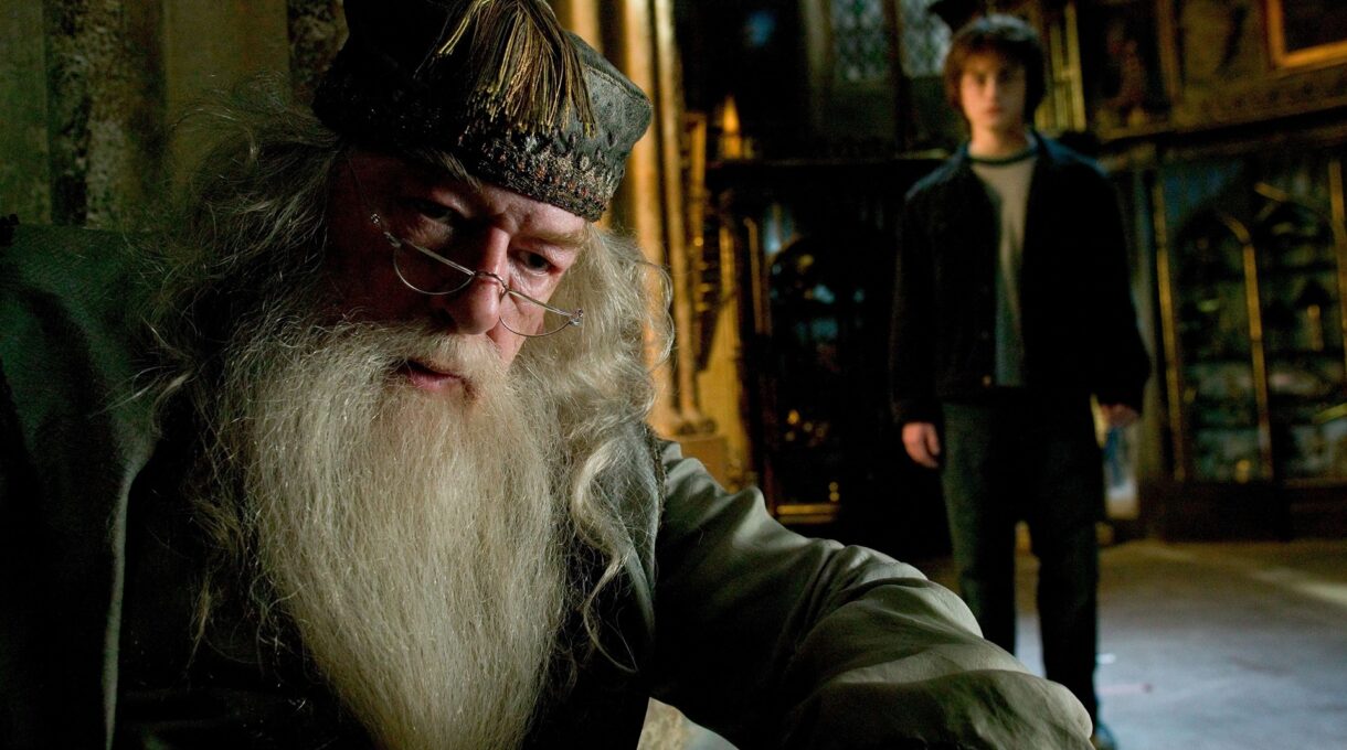 What Dumbledore Sees in the Mirror of Erised?